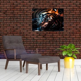Tablou cu tigrul dormind (70x50 cm)