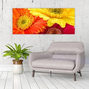 Tablou - Flori Gerbery (120x50 cm)