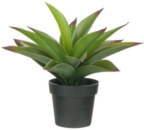Ghiveci decorativ Aloe Vera - 25cm