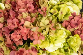 Aranjament floral mediu design LUX FAZZOLETTO HYDRANGEA