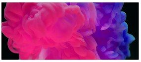 Tablou cu fum colorat (120x50 cm)
