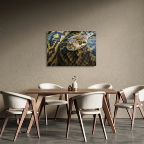 Tablou pe sticlă - Piton (70x50 cm)