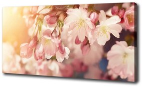 Print pe canvas Flori de cireș