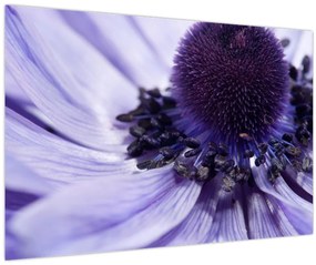 Tablou - Floare mov (90x60 cm)