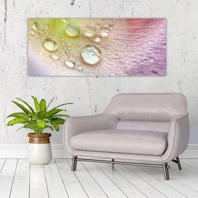 Tablou - Picături de rouă (120x50 cm)