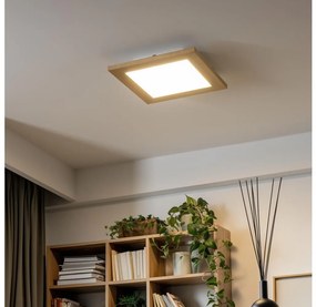 Eglo - Panou LED RGBW SALOBRENA-C 16W 230V maro + DO