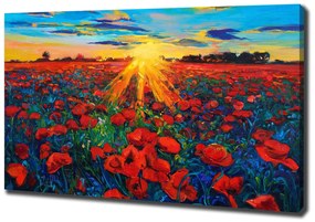 Tablou pe pânză canvas Câmp de maci