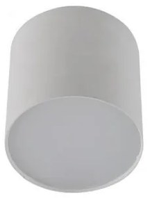 Spot LED aplicat tavan/plafon MATEO S