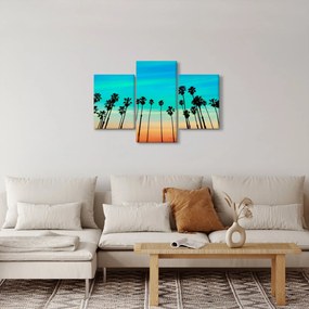 Tablou - California (90x60 cm)