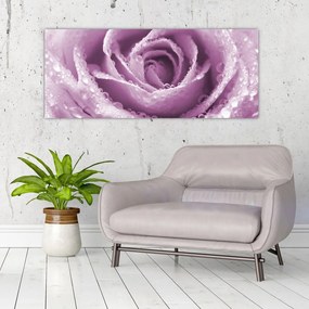 Tablou detaliu de floare de trandafir (120x50 cm)