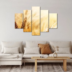 Tablou- detaliu cu (150x105 cm)