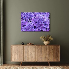Tablou cu flori violete (90x60 cm)