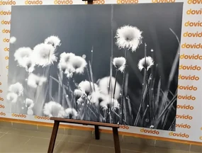 Tablou iarbă din bumbac în design alb-negru