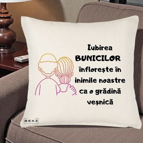 Cadou pentru Bunici - Perna Personalizata Iubirea Bunicilor Infloreste Cuplu Line Art Gradient, 40x40 cm, Crem Reliefat, Husa Detasabila, Perna Inclusa, BEKZ®