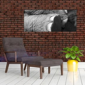 Tablou - Picior de elefant (120x50 cm)