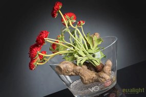 Aranjament floral elegant din bujori rosii ISEO 1141850.30