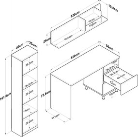 Birou Hapem Walnut and White