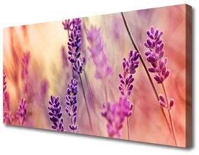 Tablou pe panza canvas Flori Floral violet roz