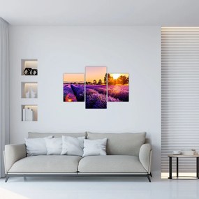 Tablou cu câmp de lavandă (90x60 cm)