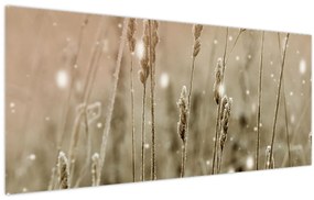 Tablou - Pajiște armonioasă (120x50 cm)