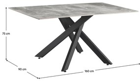 Masă sufragerie Zendos (Gri deschis + Negru) (pentru 6 persoane). 1101140