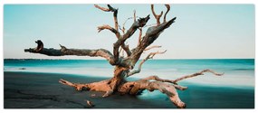 Tablou - Debarcare pe plaja (120x50 cm)