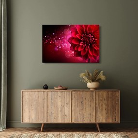 Tablou cu floare roșie (90x60 cm)