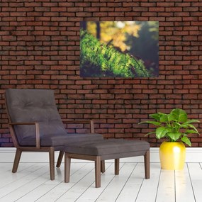 Tablou - Ciupercă și muschi (70x50 cm)