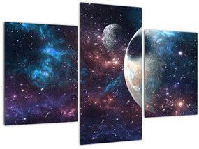 Tablou cu cosmos (90x60 cm)