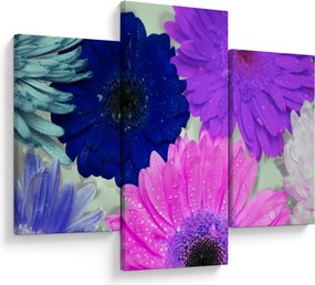 Tablou cu flori colorate (90x60 cm)