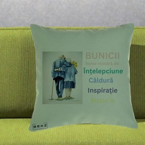 Cadou pentru Bunici - Perna Personalizata Bunicii Sursa Intelepciune Caldura Acuarela, 40x40 cm, Verde, Husa Detasabila, Perna Inclusa, BEKZ®