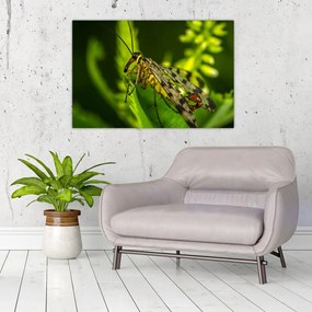 Tablou cu omide (90x60 cm)