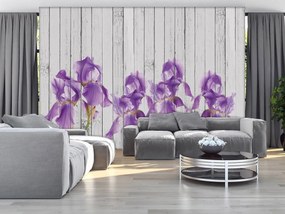 Fototapet - Iris pe scănduri de lemn (254x184 cm)