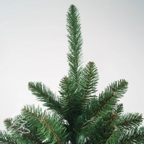 Molid Canadian 2D 220 cm