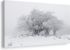 Tablou - Iarnă albă (90x60 cm)