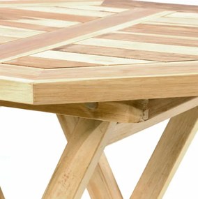 Mobilier de grădină DIVERO din tec