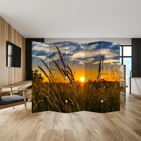 Paravan - Câmp în apus de soare (210x170 cm)