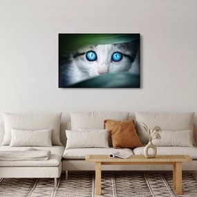 Tablou cu pisica (90x60 cm)