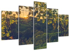 Tablou - Podgorii (150x105 cm)