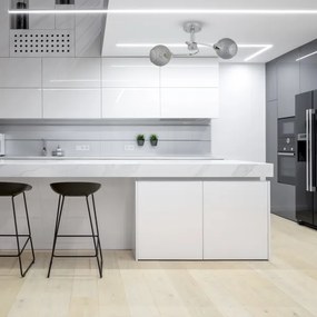 Lustră aplicată OAKLAND 2xE27/60W/230V