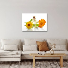 Tablou cu ulei de flori (70x50 cm)