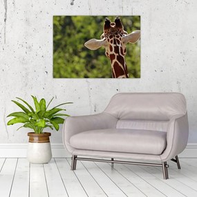 Tablou pe sticlă cu girafă din spate (70x50 cm)