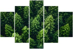 Tablou - Pădure (150x105 cm)
