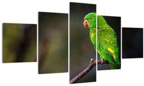 Tablou cu papagal pe greangă (125x70 cm), în 40 de alte dimensiuni noi