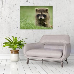 Tablou pe sticlă cu chiuvetă (70x50 cm)