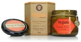Lumânare organică Nagpuri Narangi - Portocaliu 200g în pahar de sticlă chihlimbar