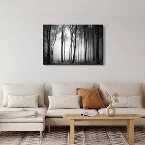 Tablou - Lup în pădurea întunecată (90x60 cm)
