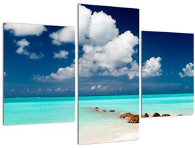 Tablou - Plaja tropică (90x60 cm)
