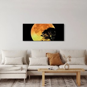 Tablou cu umbre în lumina lunii (120x50 cm)