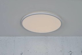 Plafoniera LED pentru iluminat exterior, senzor de miscare cu microunde, design silm Oja 42 alb 2700K 2110476101 NL